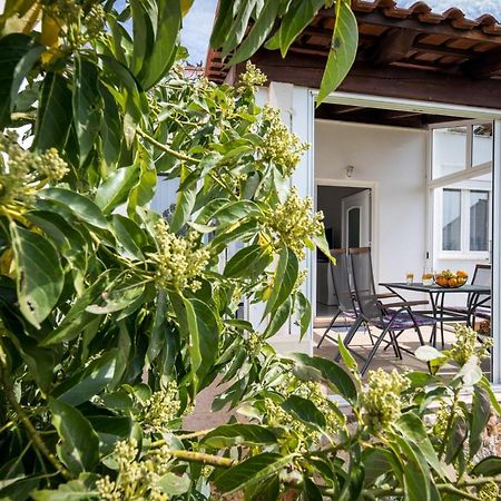 Avocado Apartment 杜布罗夫尼克 外观 照片