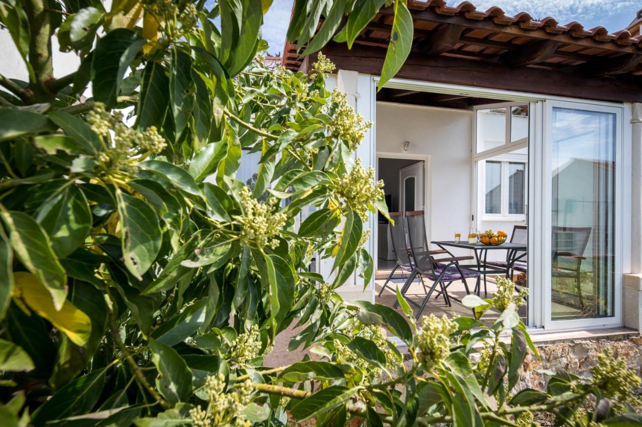 Avocado Apartment 杜布罗夫尼克 外观 照片